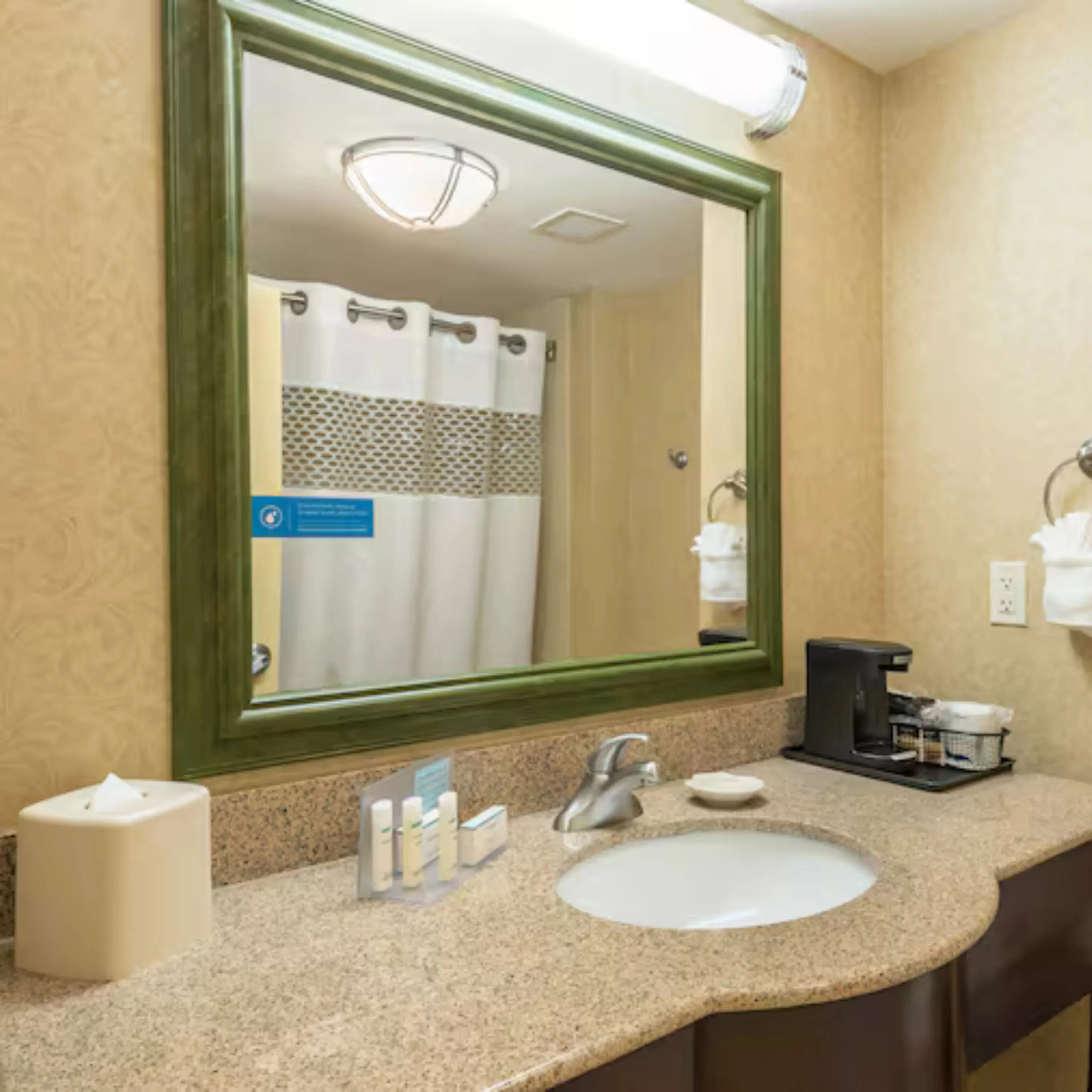 Orlando Hotels -  Hampton Inn & Suites Orlando-South Lake Buena Vista