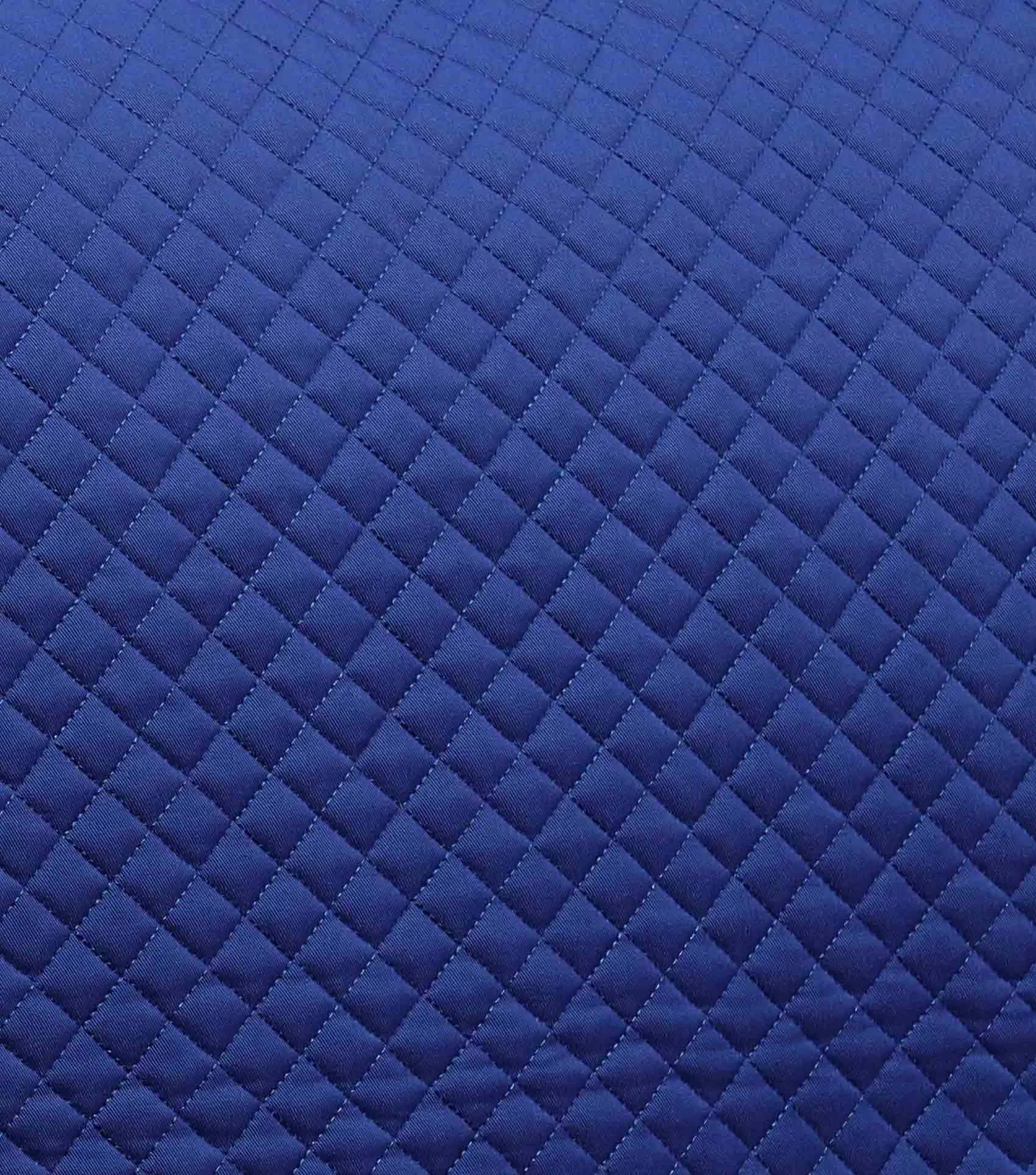 Pony Plain Cotton GP/Jump Square Royal Blue