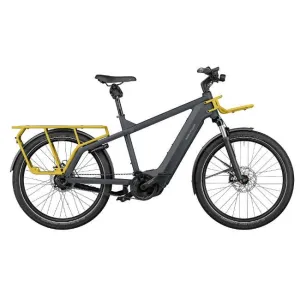 Riese & Muller Multicharger GT Rohloff HS