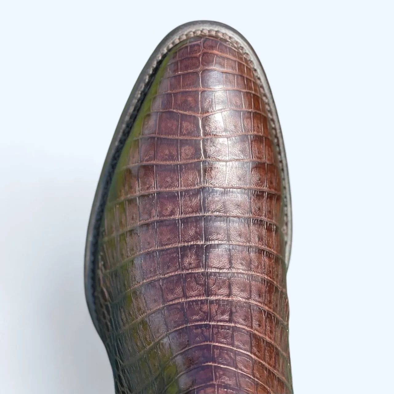 TBC Bootmakers The Mercedes Cafe Caiman Belly